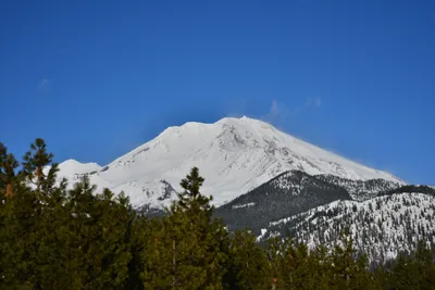 DSC_5905 (Large).JPG